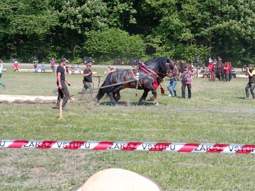IMG_20260523_151128